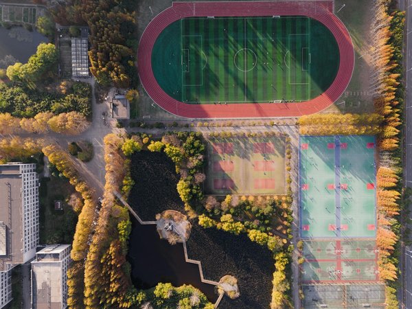 Pickleball pour débutant : guide des équipements essentiels